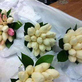 fwthumb2016-04-23 12.39.19.jpg